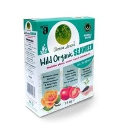 Ocean Leaves Seaweed