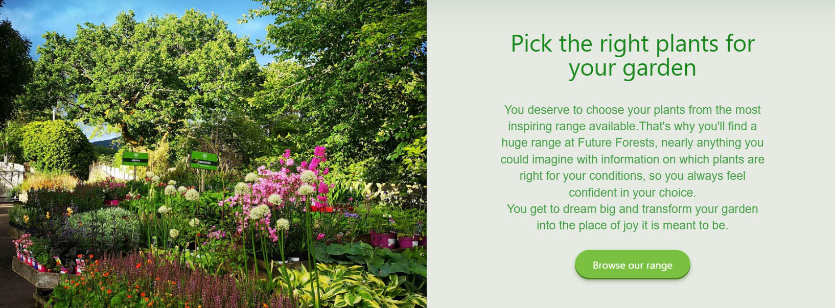 Future Forests -Future Forests dfgdg