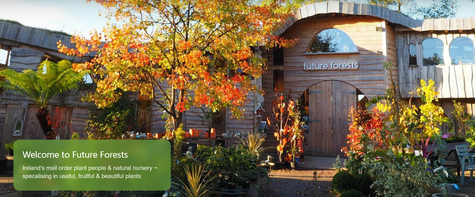 Future Forests -Future Forests sdfgdsf